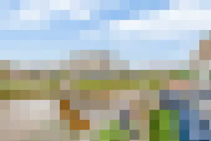 Wiekedreef 64 Stadskanaal thumbnail 34