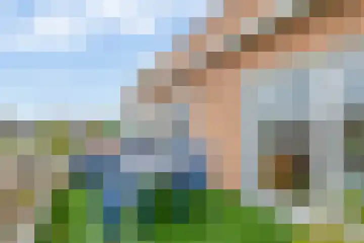 Wiekedreef 64 Stadskanaal thumbnail 35