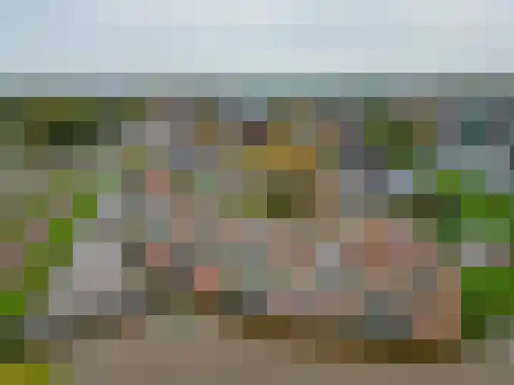 Wiekedreef 64 Stadskanaal thumbnail 53
