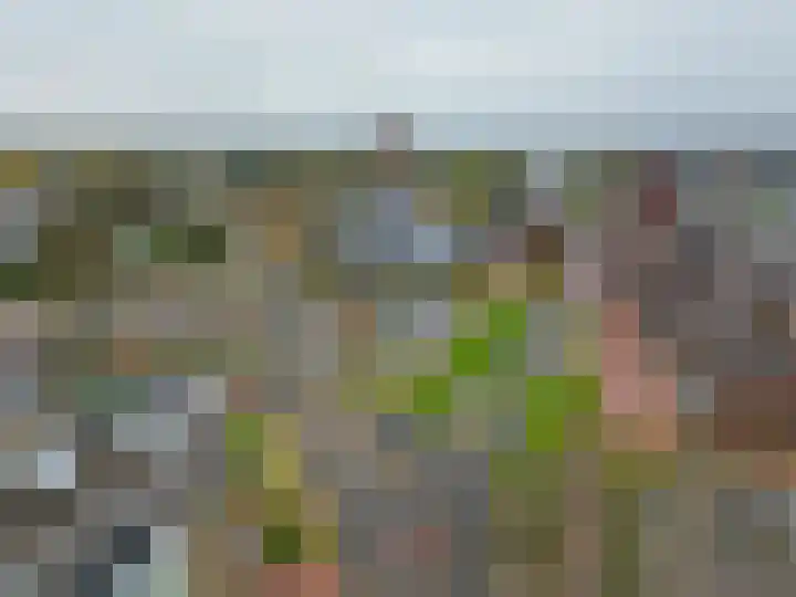 Wiekedreef 64 Stadskanaal thumbnail 55