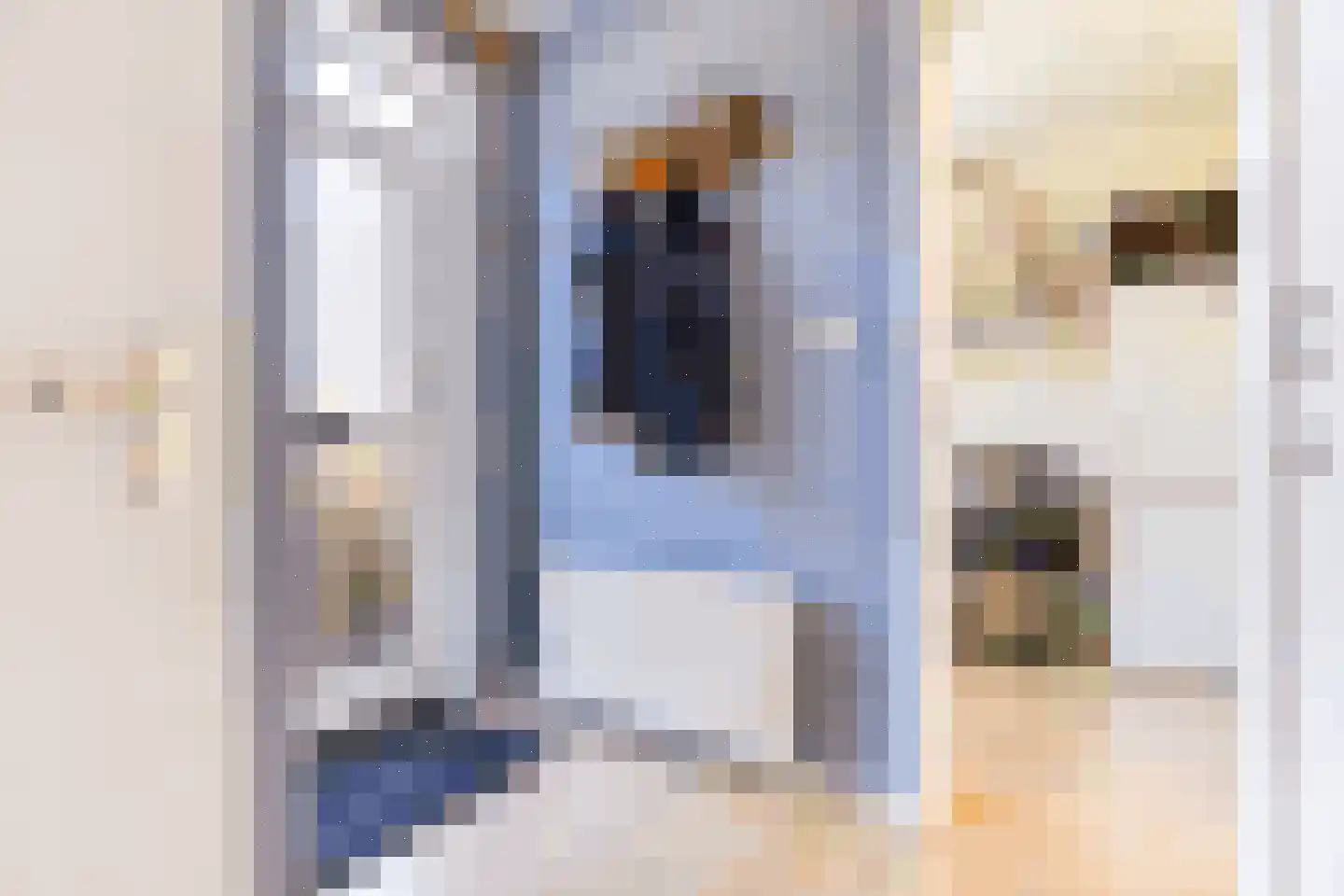Wieken 10 Avenhorn thumbnail 17