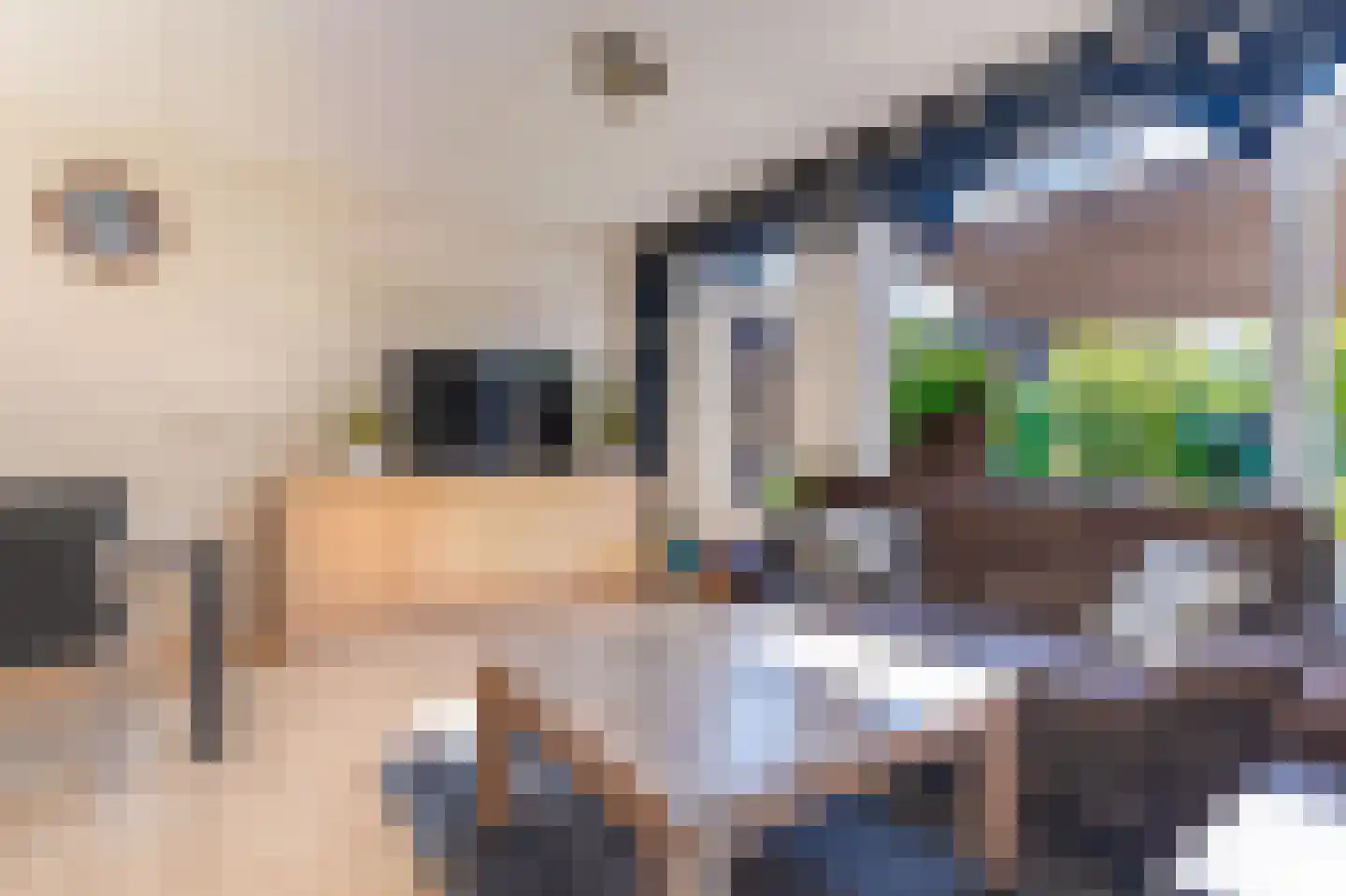 Wieken 10 Avenhorn thumbnail 23