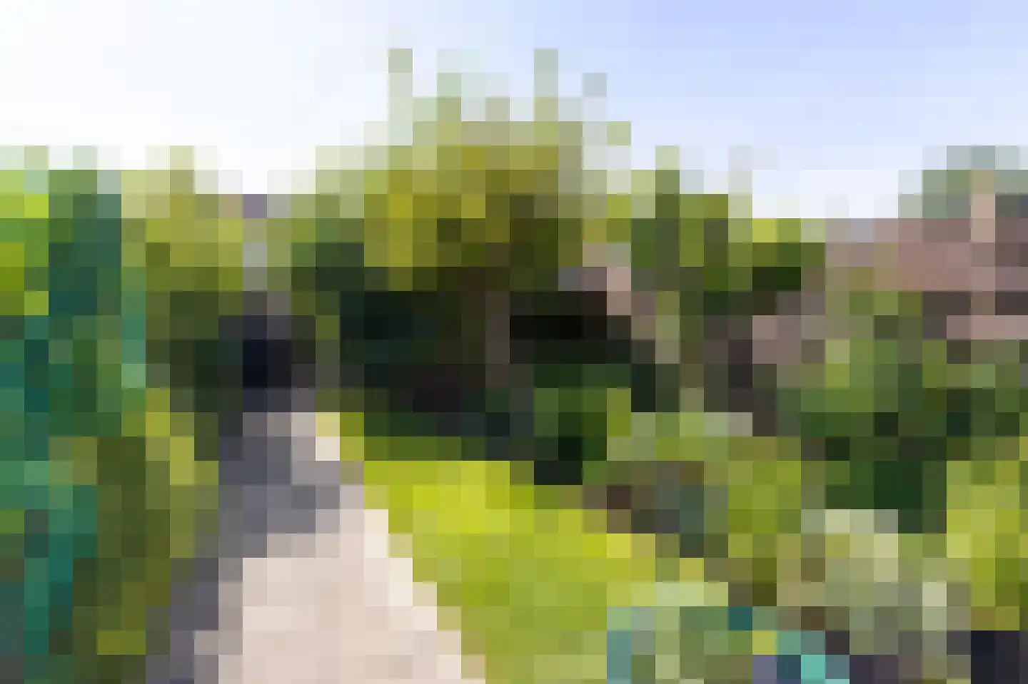 Wieken 10 Avenhorn thumbnail 31