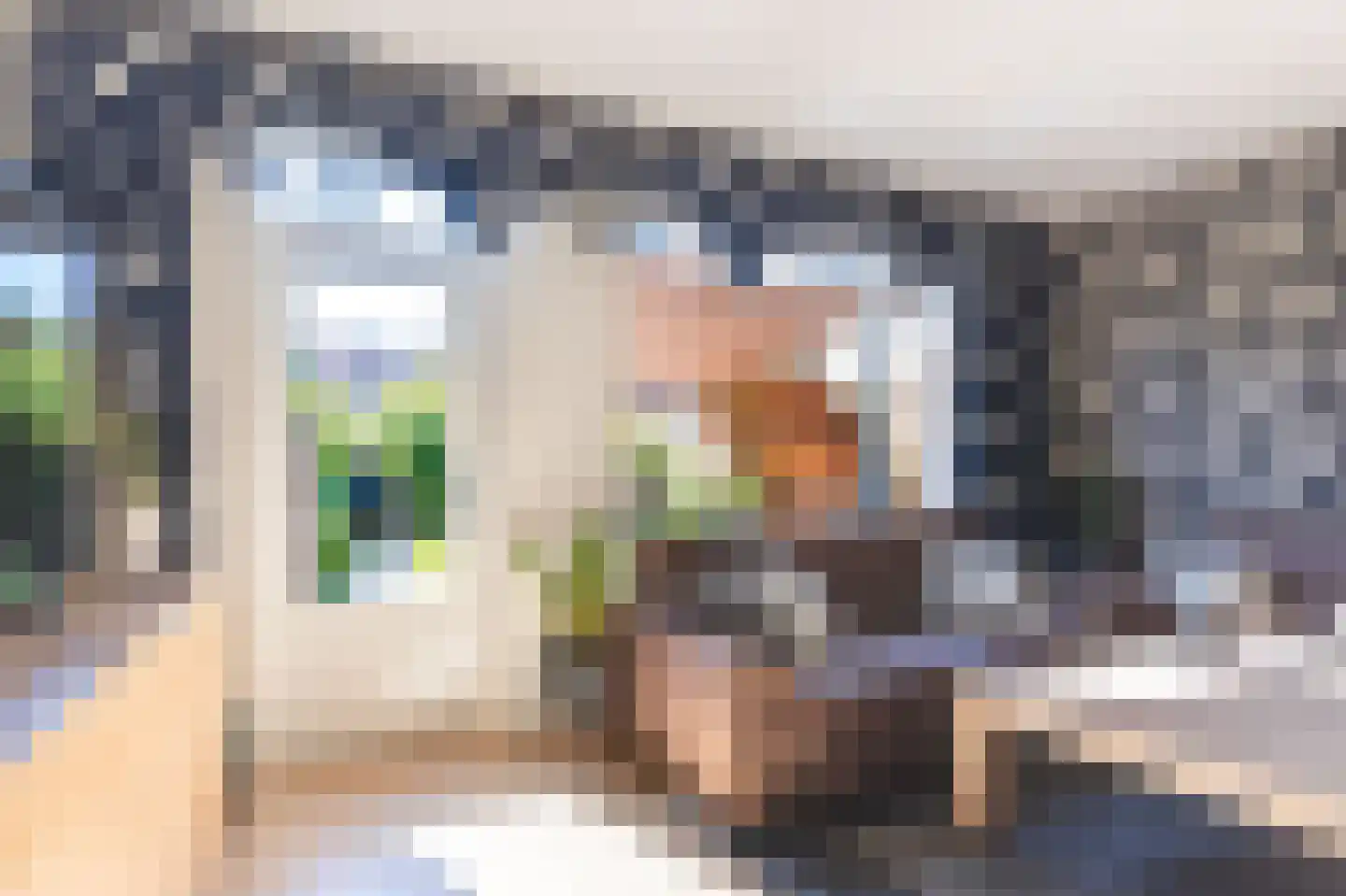 Wieken 10 Avenhorn thumbnail 58