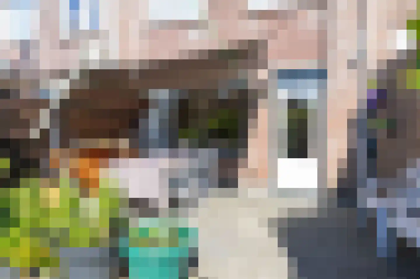 Wieken 10 Avenhorn thumbnail 64