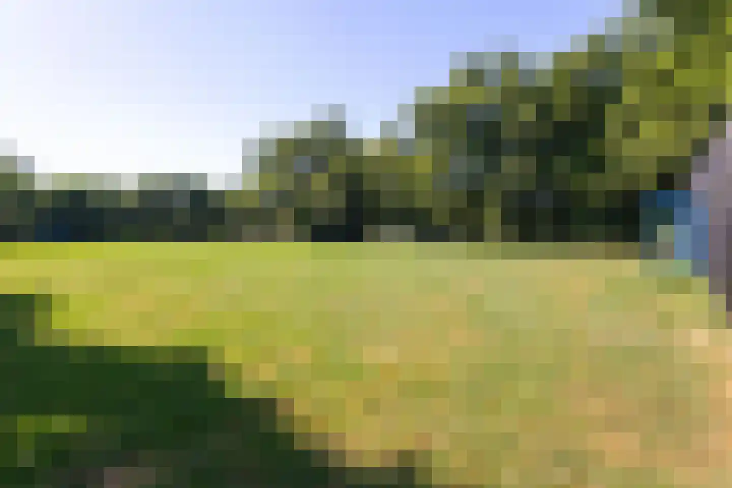 Wieken 10 Avenhorn thumbnail 7