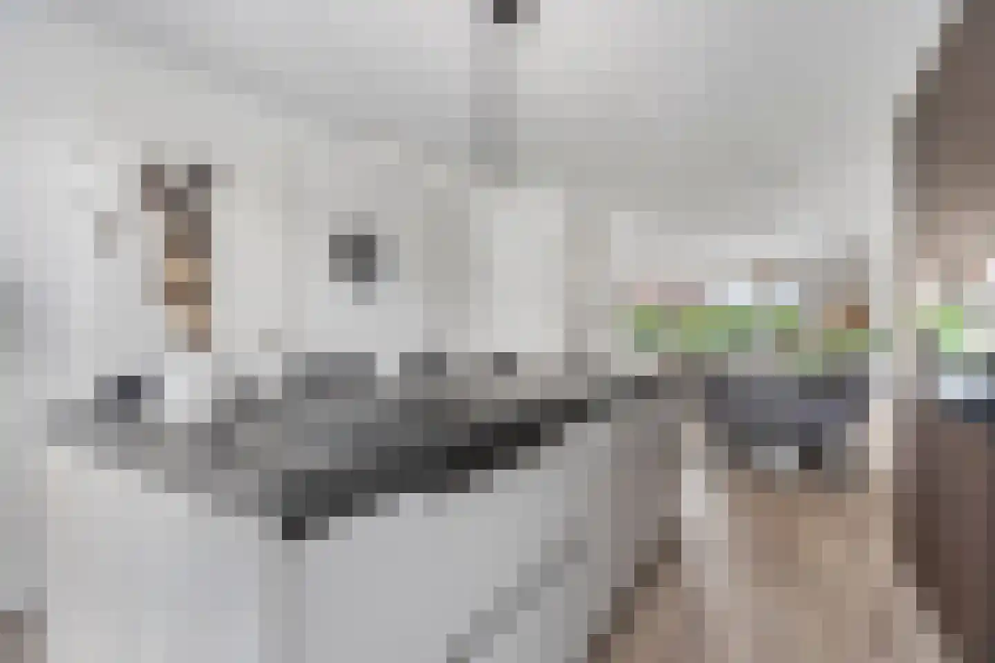 Wieken 13 Ottersum thumbnail 10