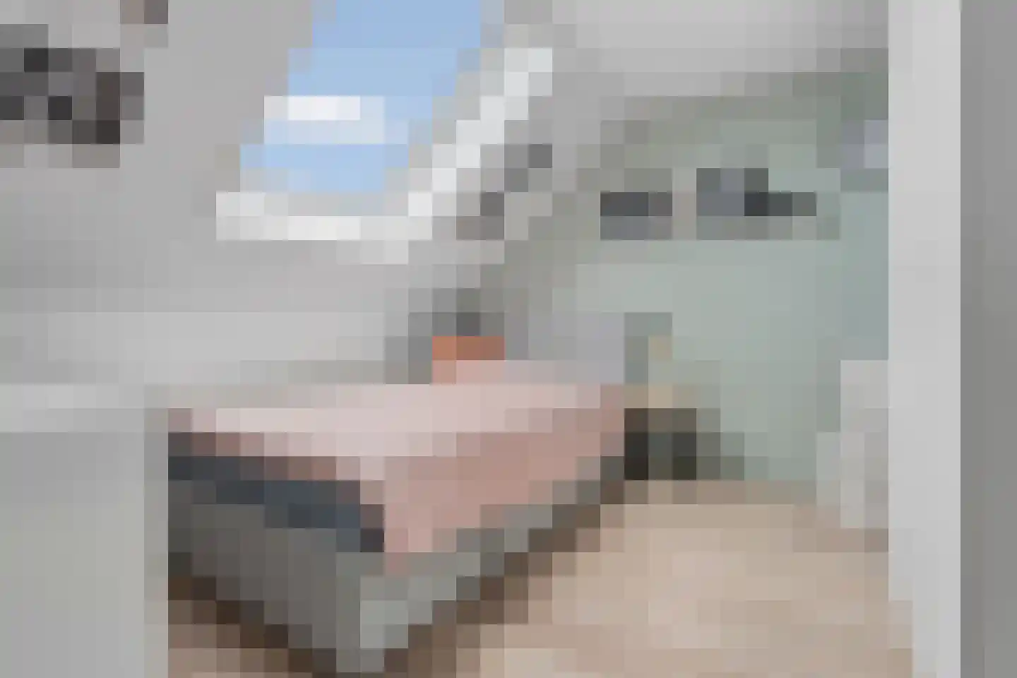 Wieken 13 Ottersum thumbnail 19