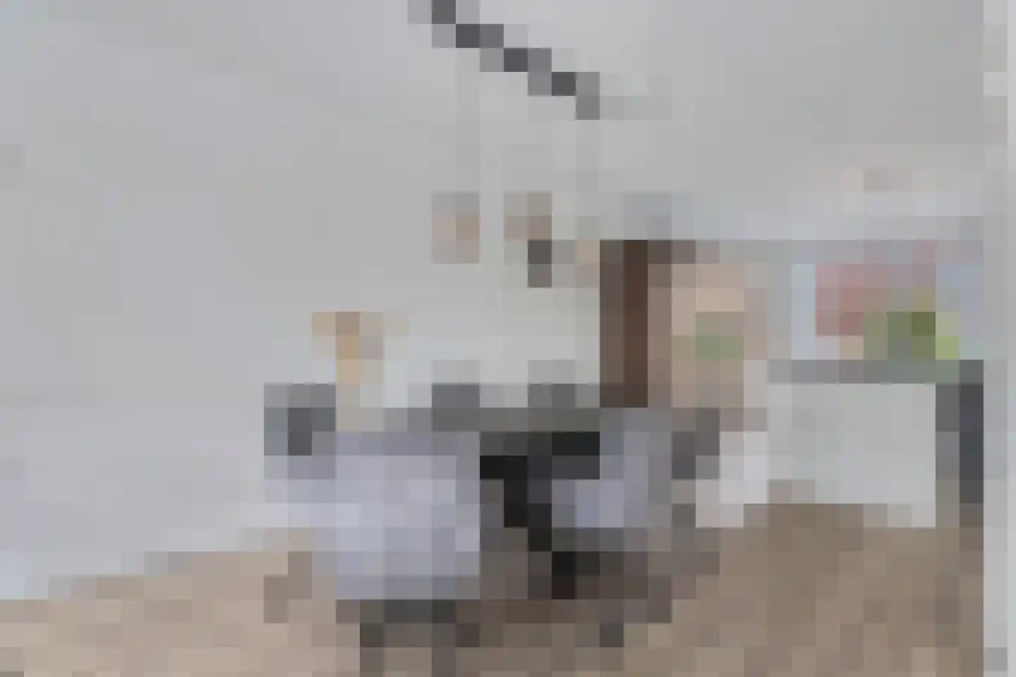 Wieken 13 Ottersum thumbnail 9