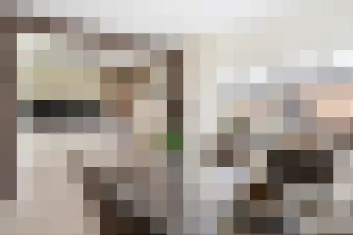 Wieken 15 Standdaarbuiten thumbnail 15