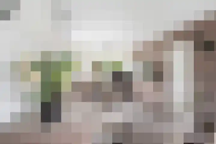 Wieken 15 Standdaarbuiten thumbnail 16