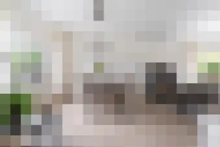 Wieken 15 Standdaarbuiten thumbnail 21
