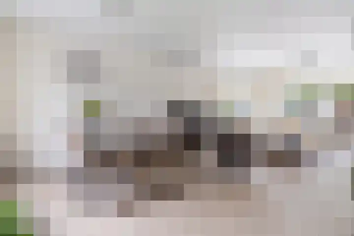 Wieken 15 Standdaarbuiten thumbnail 22