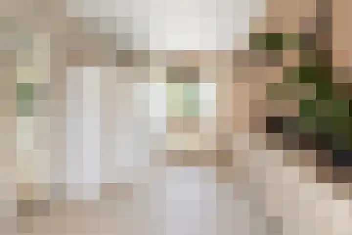 Wieken 15 Standdaarbuiten thumbnail 26