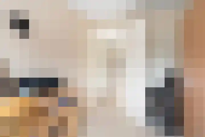 Wieken 15 Standdaarbuiten thumbnail 34