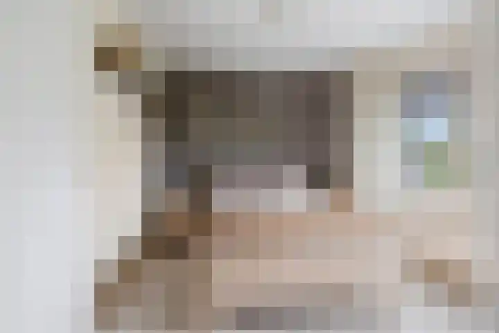 Wieken 15 Standdaarbuiten thumbnail 35