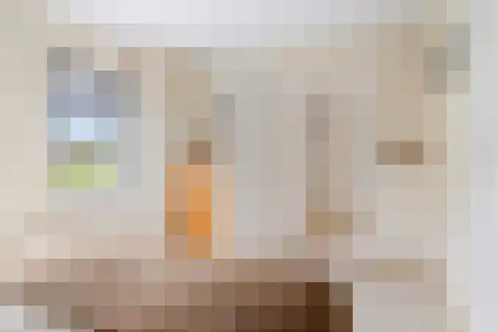 Wieken 15 Standdaarbuiten thumbnail 36