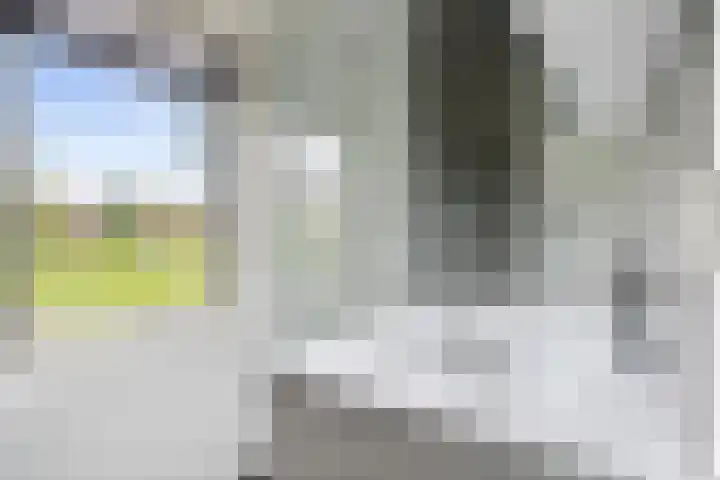 Wieken 15 Standdaarbuiten thumbnail 38