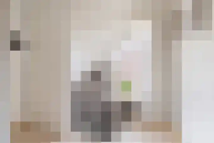 Wieken 15 Standdaarbuiten thumbnail 41