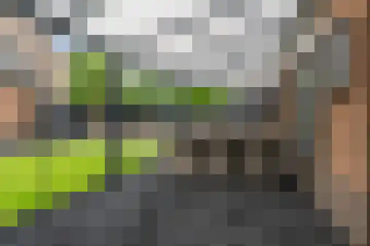 Wieken 15 Standdaarbuiten thumbnail 47