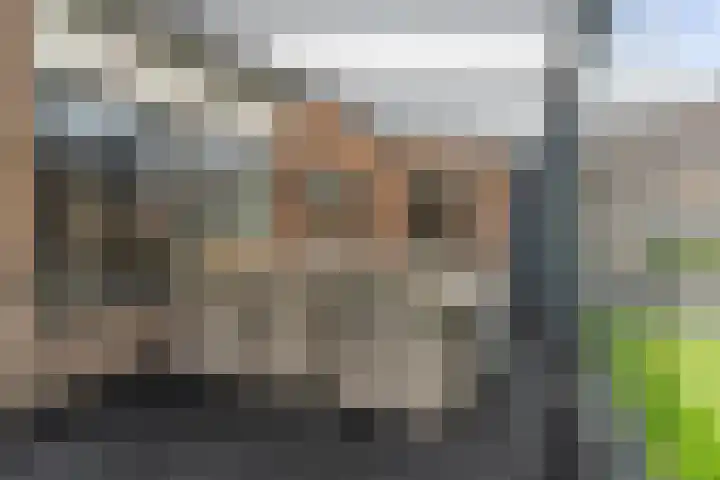 Wieken 15 Standdaarbuiten thumbnail 48