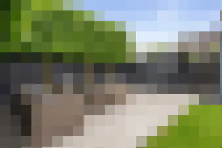 Wieken 15 Standdaarbuiten thumbnail 53