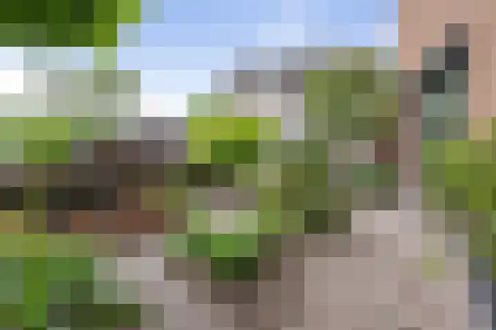 Wieken 15 Standdaarbuiten thumbnail 57