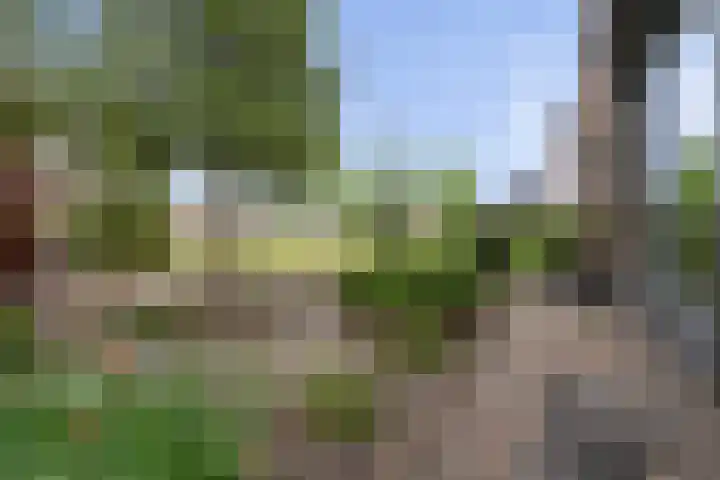 Wieken 15 Standdaarbuiten thumbnail 58