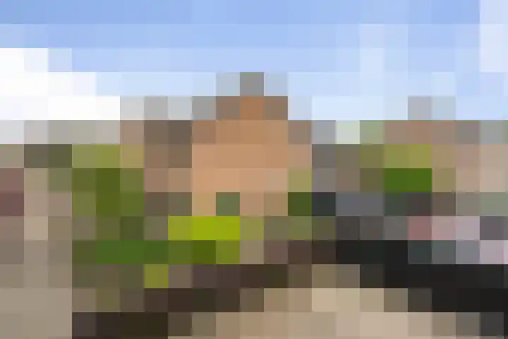 Wieken 15 Standdaarbuiten thumbnail 61