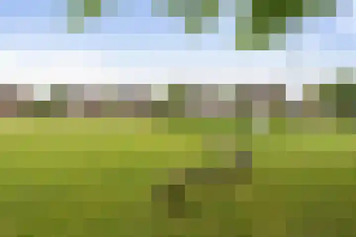 Wieken 15 Standdaarbuiten thumbnail 62
