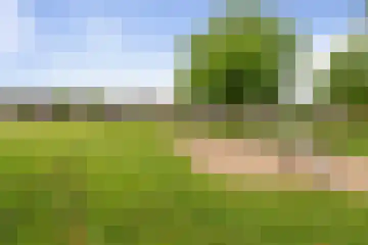 Wieken 15 Standdaarbuiten thumbnail 63