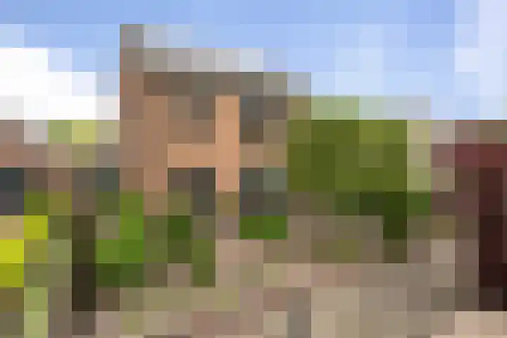 Wieken 15 Standdaarbuiten thumbnail 72