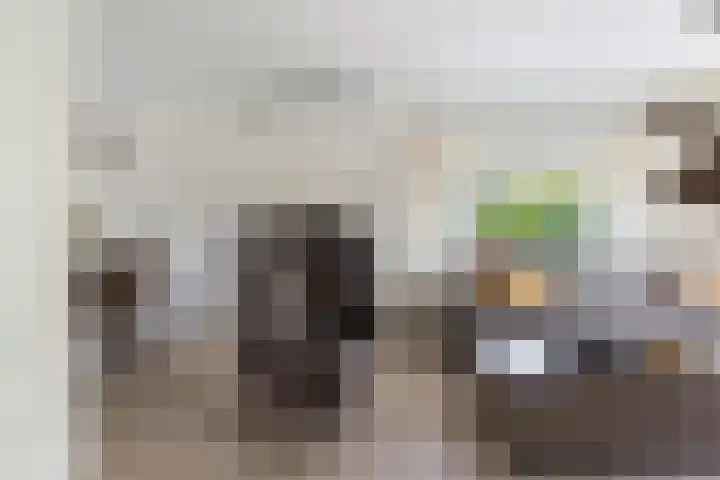Wieken 15 Standdaarbuiten thumbnail 9