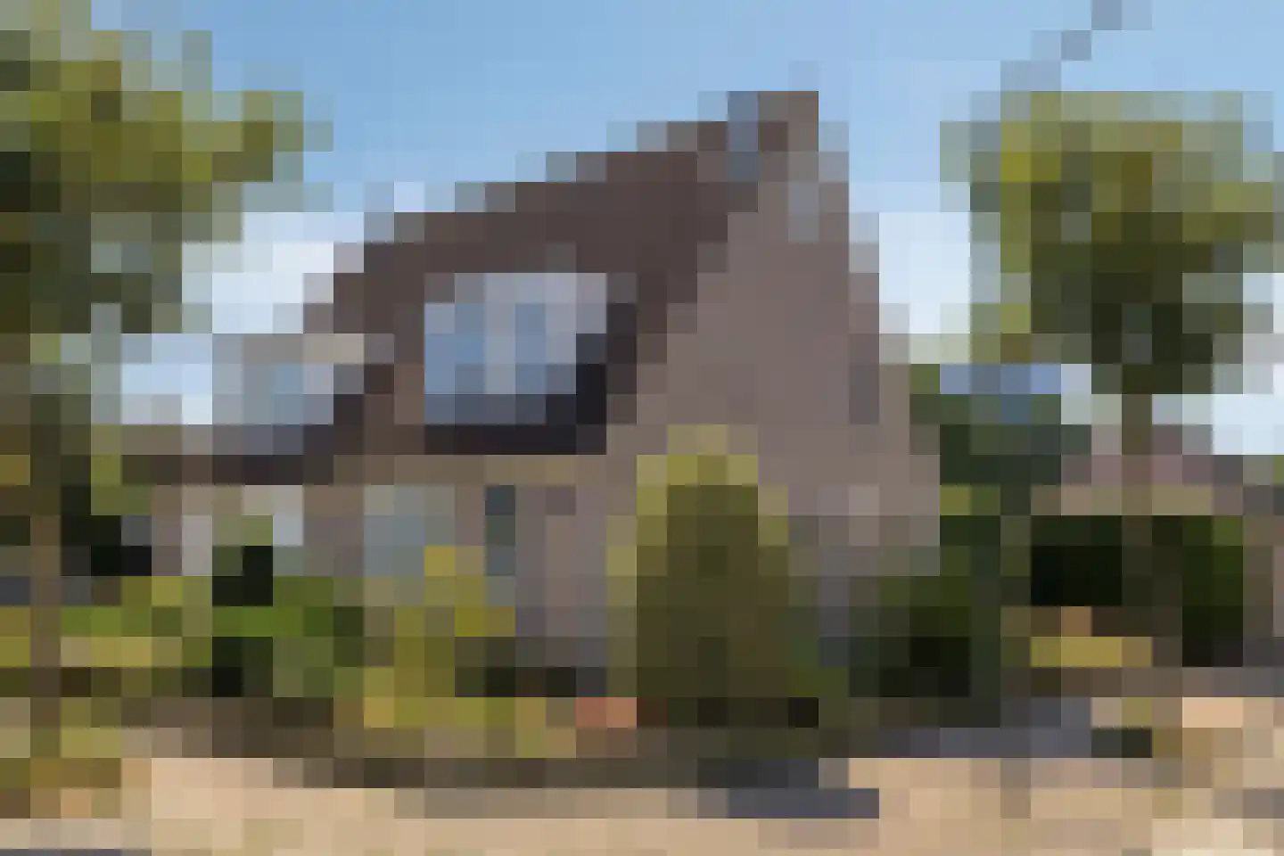 Wieken 20 in Schaijk
