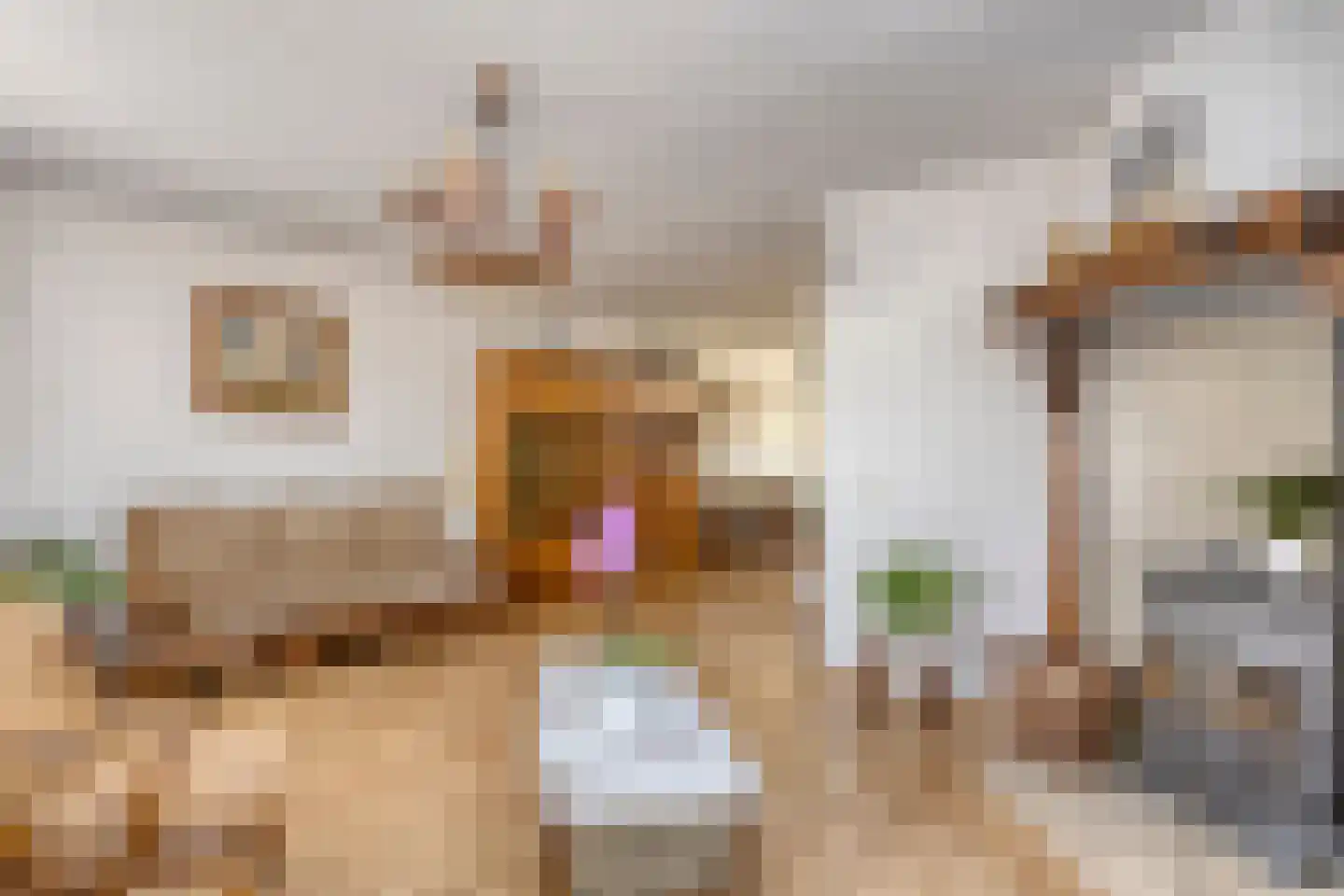 Wieken 20 Schaijk thumbnail 13