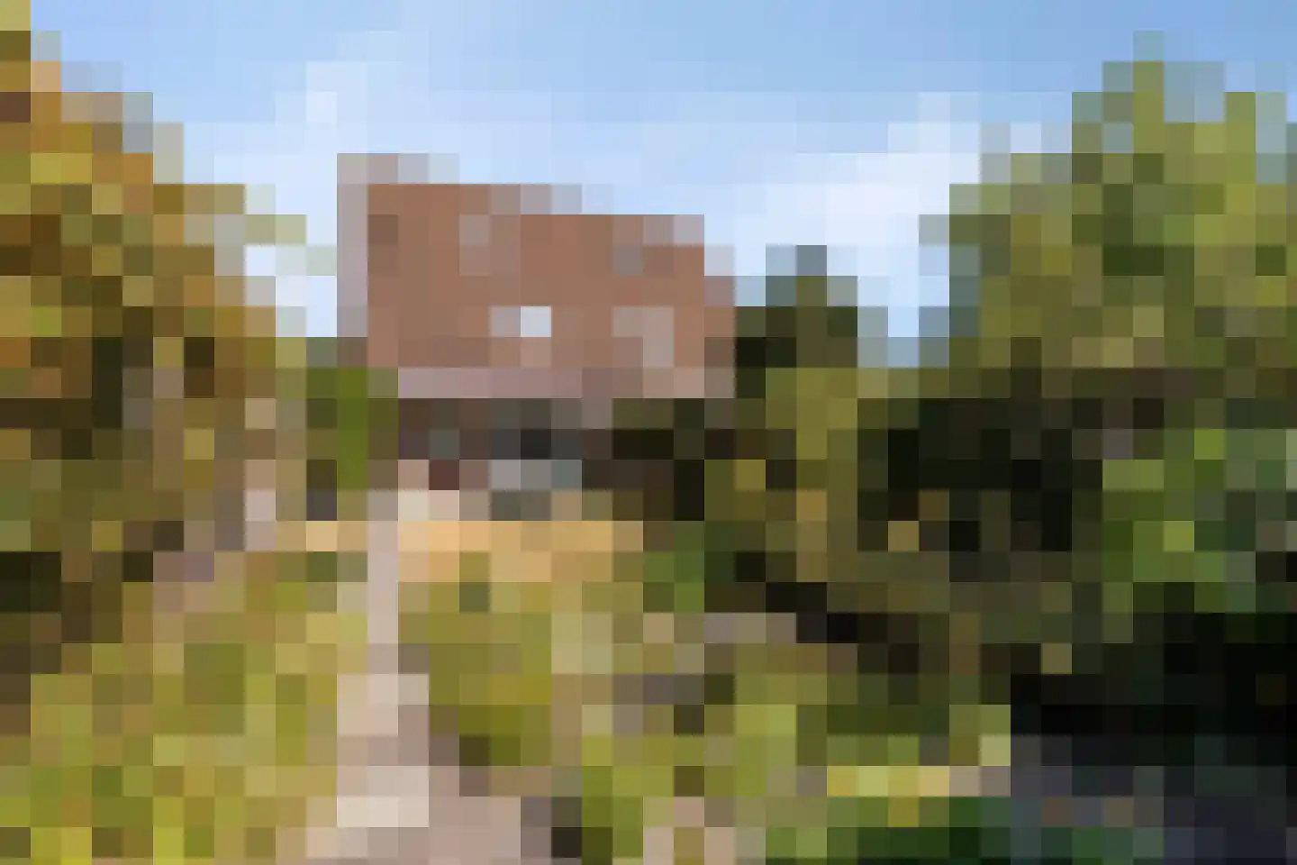 Wieken 20 Schaijk thumbnail 32