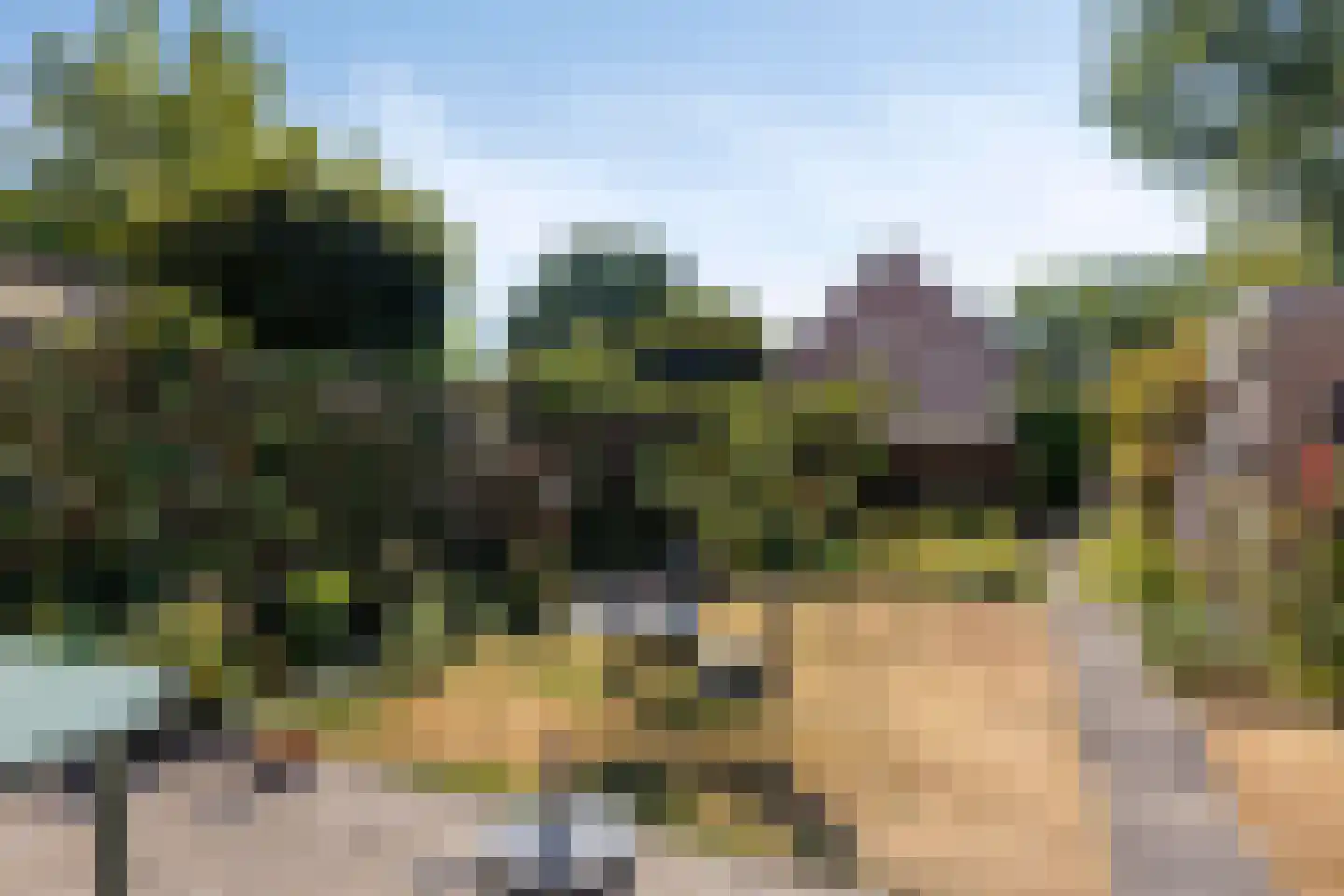 Wieken 20 Schaijk thumbnail 6