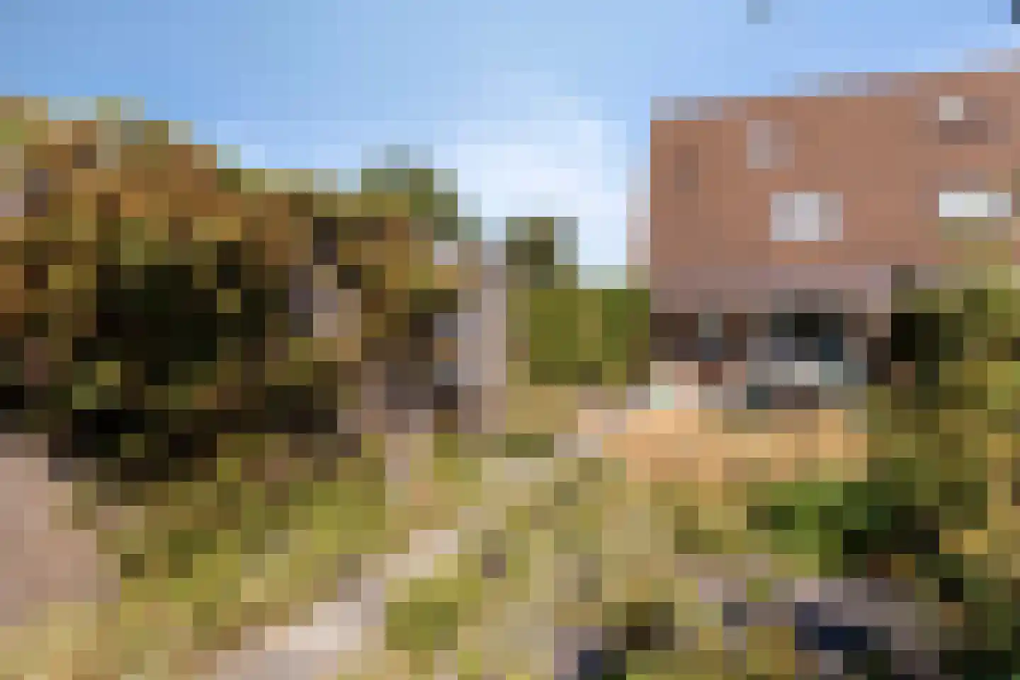 Wieken 20 Schaijk thumbnail 7