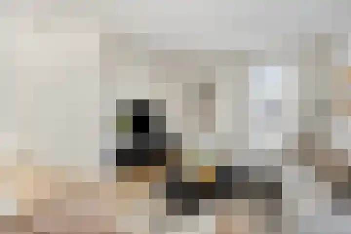 Wieken 3 Ottersum thumbnail 11