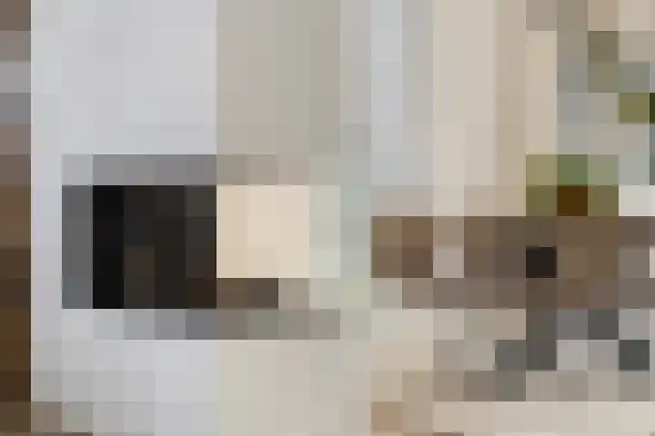 Wieken 3 Ottersum thumbnail 13