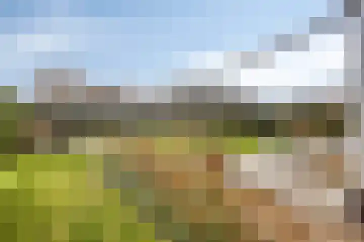 Wieken 3 Ottersum thumbnail 6