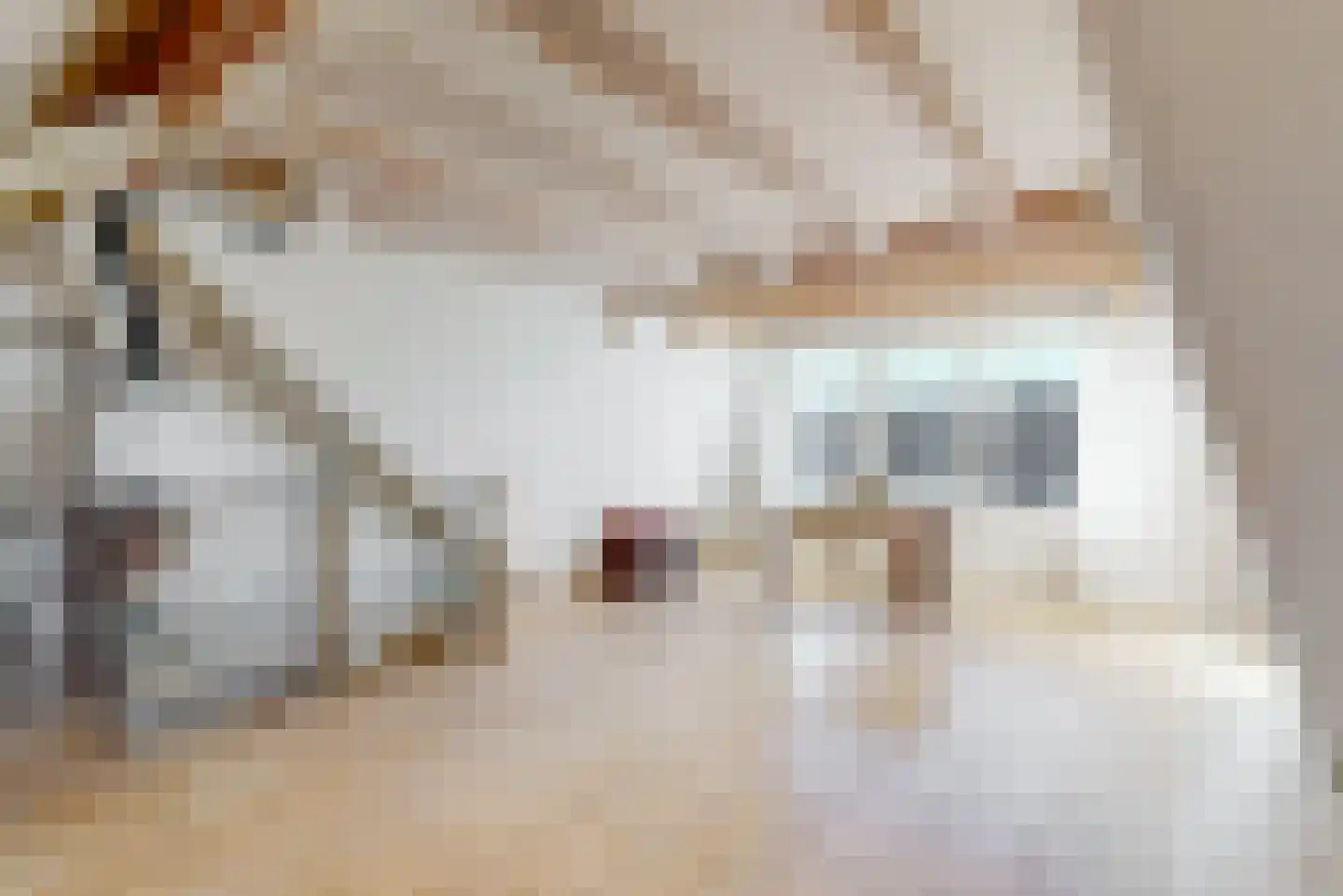 Wieken 32 Avenhorn thumbnail 25