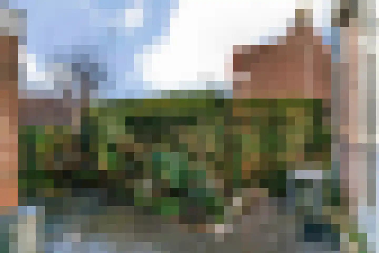 Wieken 32 Avenhorn thumbnail 30