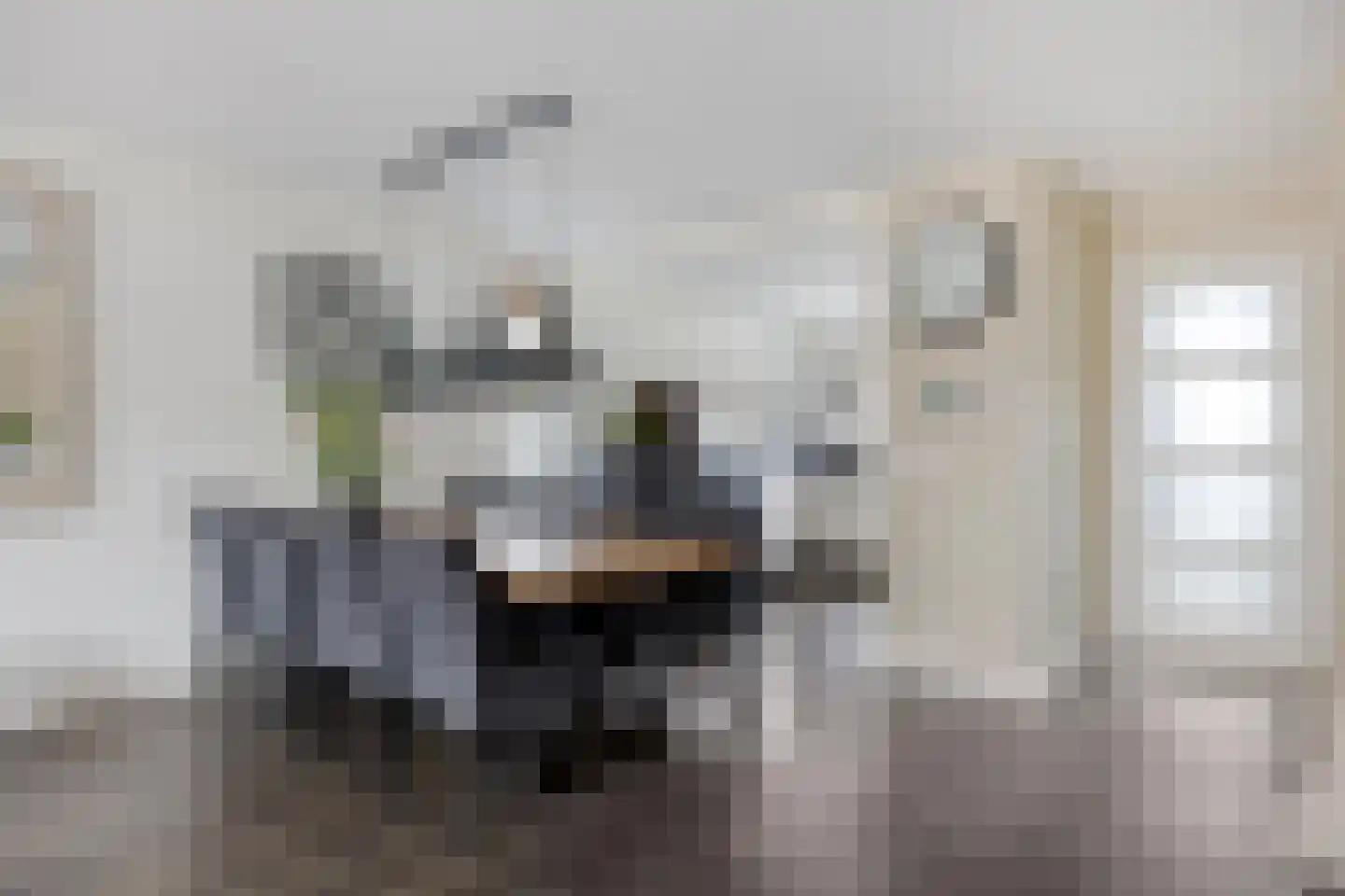 Wieken 35 Avenhorn thumbnail 12
