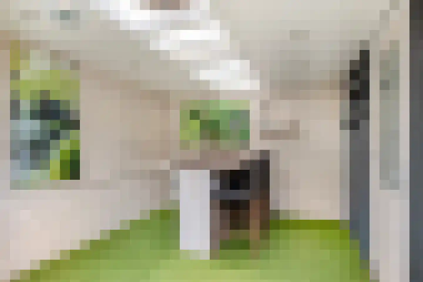 Wieken 35 Avenhorn thumbnail 30