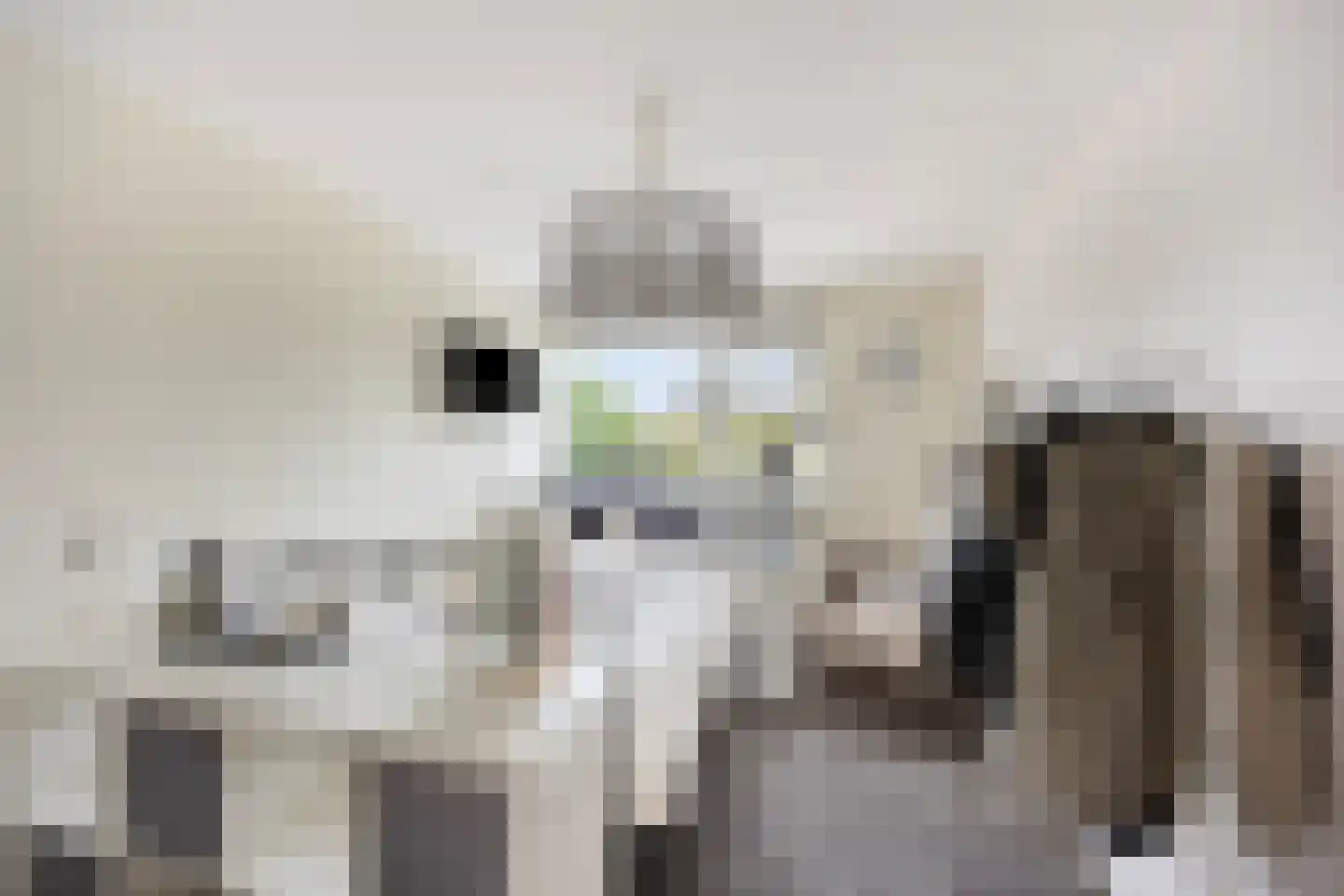 Wieken 35 Avenhorn thumbnail 5