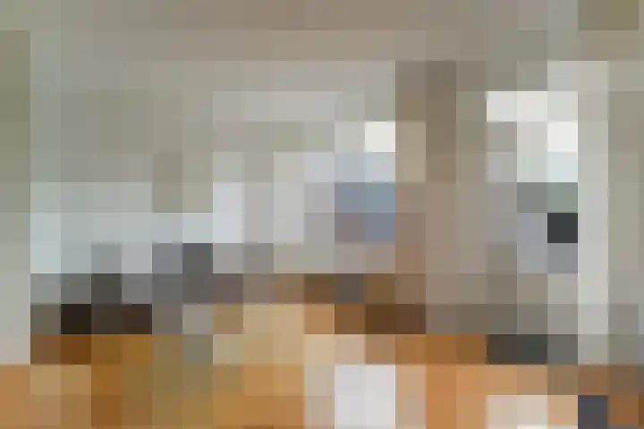 Wieken 62 Avenhorn thumbnail 14