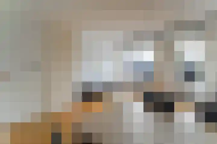 Wieken 62 Avenhorn thumbnail 16