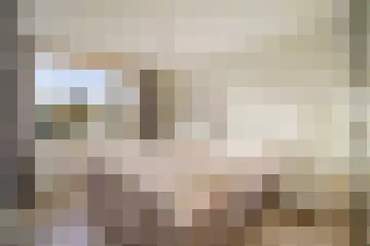 Wieken 62 Avenhorn thumbnail 20