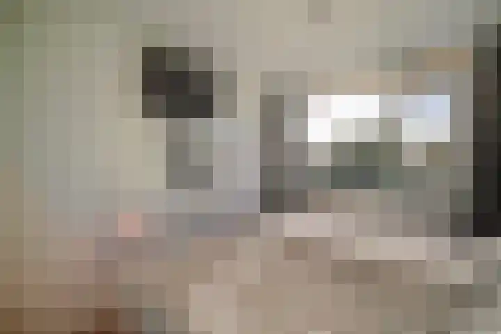 Wieken 62 Avenhorn thumbnail 21